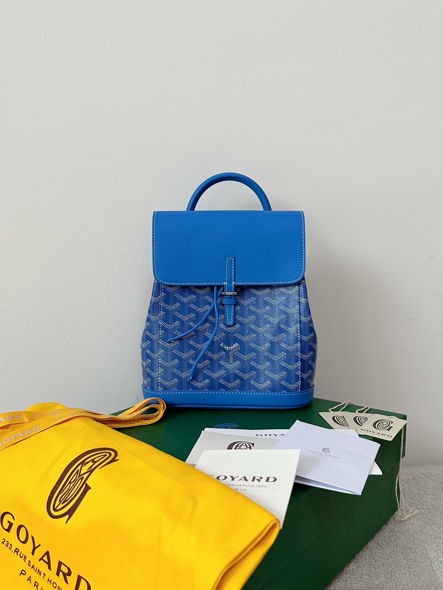 GOYARD Alpin Mini Backpack 23×19×9.5cm